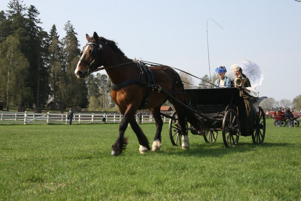 Linda Liljegren med hästen Belgaraf